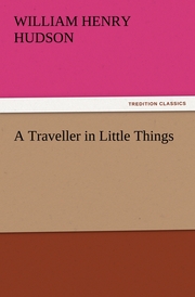 A Traveller in Little Things - Cover