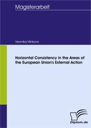 Horizontal Consistency in the Areas of the European Unions External Action