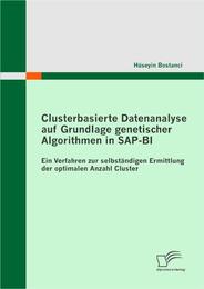 Clusterbasierte Datenanalyse auf Grundlage genetischer Algorithmen in SAP-BI