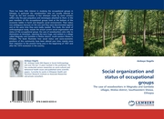 Social organization and status of occupational groups