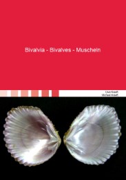 Bivalvia - Bivalves - Muscheln