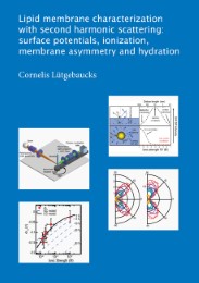Lipid membrane characterization with second harmonic scattering: surface potentials, ionization, membrane asymmetry and hydration