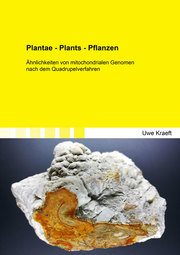 Plantae - Plants - Pflanzen