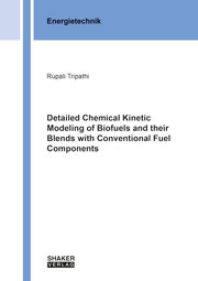 Detailed Chemical Kinetic Modeling of Biofuels and their Blends with Conventional Fuel Components