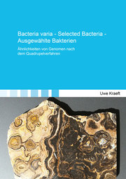 Bacteria varia - Selected Bacteria - Ausgewählte Bakterien
