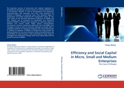 Efficiency and Social Capital in Micro, Small and Medium Enterprises - Cover