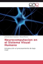 Neurocomputacion en el Sistema Visual Humano