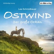 Ostwind - Der große Orkan - Cover