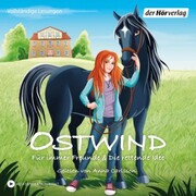 Ostwind - Für immer Freunde & Die rettende Idee - Cover