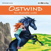 Ostwind - Ein rätselhafter Unfall - Cover