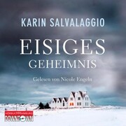 Eisiges Geheimnis - Cover