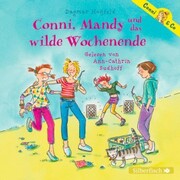 Conni & Co 13: Conni, Mandy und das wilde Wochenende - Cover