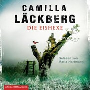 Die Eishexe (Ein Falck-Hedström-Krimi 10) - Cover