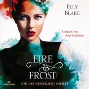 Fire & Frost 3: Von der Dunkelheit geliebt - Cover