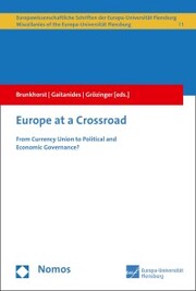 Europe at a Crossroad - Cover