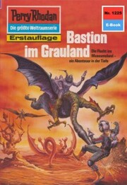 Perry Rhodan 1225: Bastion im Grauland - Cover
