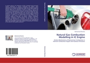Natural Gas Combustion Modelling in IC Engine