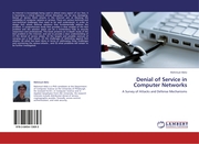 Denial of Service in Computer Networks
