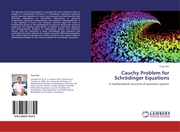 Cauchy Problem for Schrödinger Equations