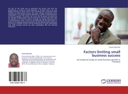 Factors limiting small business success