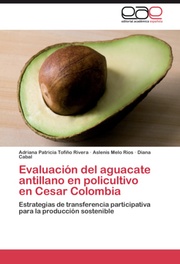 Evaluacion del aguacate antillano en policultivo en Cesar Colombia - Cover