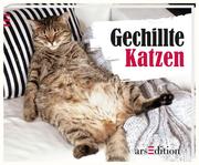 Gechillte Katzen - Cover