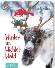 Winter im Wichtelwald - Cover