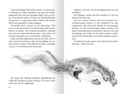 Sea Monsters - Ungeheuer weckt man nicht (Sea Monsters 1) - Abbildung 4
