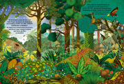 Wunderwelt Dschungel - Abbildung 1