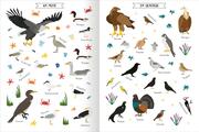 Naturforscher-Kids - Stickerheft Vögel - Illustrationen 4