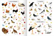 Naturforscher-Kids - Stickerheft Vögel - Illustrationen 5