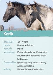 Naturforscher-Kids - Pferde & Ponys - Abbildung 5