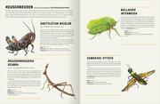 Das große Lexikon der Insekten - Abbildung 2