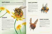Das große Lexikon der Insekten - Abbildung 3