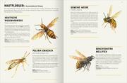 Das große Lexikon der Insekten - Abbildung 4