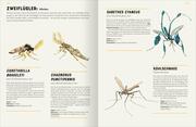 Das große Lexikon der Insekten - Abbildung 5
