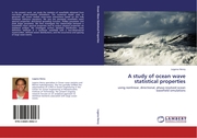 A study of ocean wave statistical properties