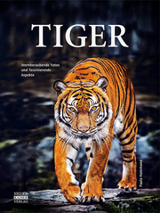 Tiger - Cover
