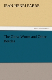 The Glow-Worm and Other Beetles - Cover