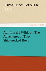 Adrift in the Wilds or, The Adventures of Two Shipwrecked Boys
