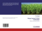 Tillage System in Rice Cultivation