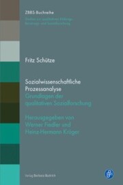 Sozialwissenschaftliche Prozessanalyse - Cover