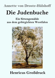 Die Judenbuche (Großdruck)