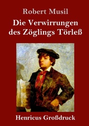Die Verwirrungen des Zöglings Törless (Grossdruck) - Cover