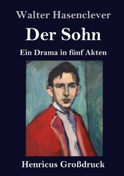 Der Sohn (Großdruck) - Cover