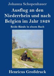 Ausflug an den Niederrhein und nach Belgien im Jahr 1828 (Großdruck) - Cover