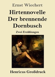 Hirtennovelle / Der brennende Dornbusch (Großdruck) - Cover