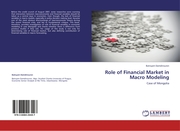 Role of Financial Market in Macro Modeling
