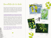 Wildes Grün - Mit Kräutern und Pflanzen durchs Jahr - Abbildung 3