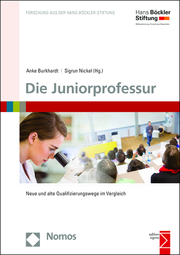 Die Juniorprofessur - Cover